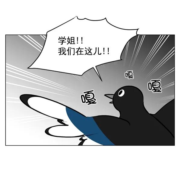 《小麻雀求婚记》第59话 第17页