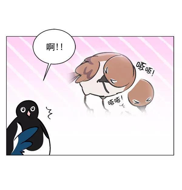 《小麻雀求婚记》第59话 第23页