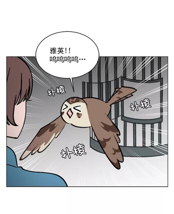 《小麻雀求婚记》第59话 第2页