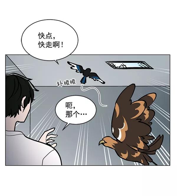 《小麻雀求婚记》第59话 第38页