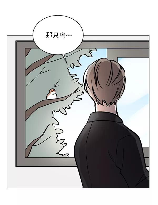 《小麻雀求婚记》第59话 第47页