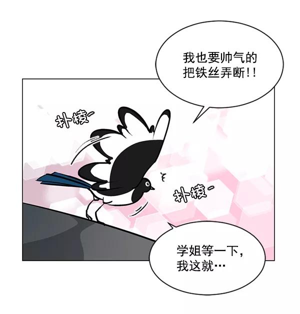 《小麻雀求婚记》第59话 第24页