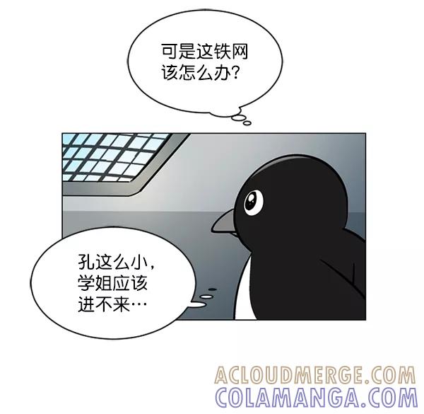 《小麻雀求婚记》第59话 第22页