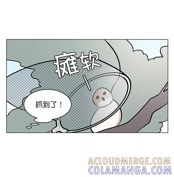 《小麻雀求婚记》第59话 第55页