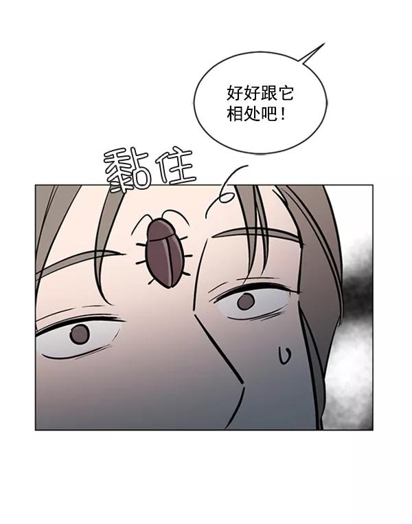 《小麻雀求婚记》第60话 第48页