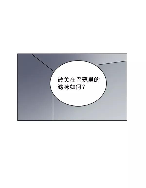 《小麻雀求婚记》第60话 第65页