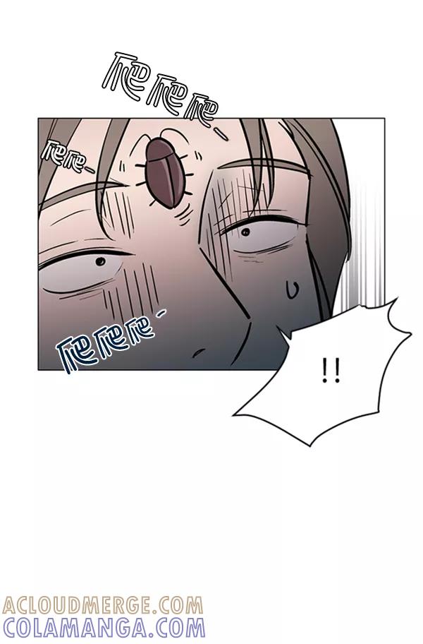 《小麻雀求婚记》第60话 第49页