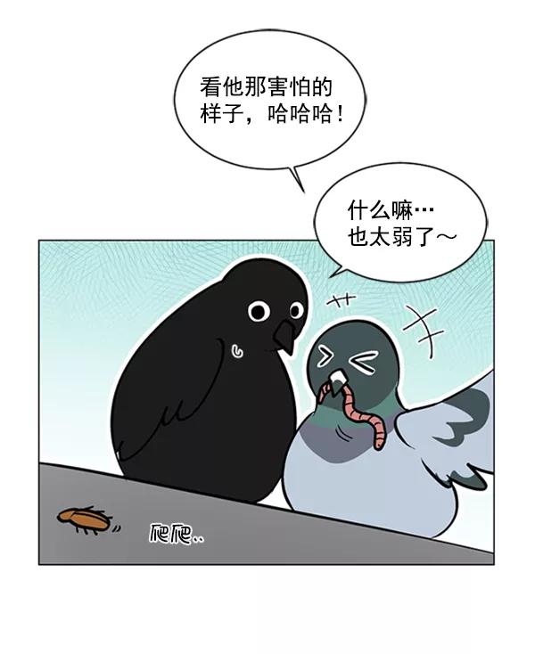 《小麻雀求婚记》第60话 第51页