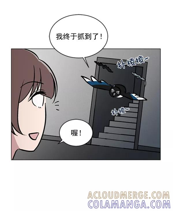 《小麻雀求婚记》第60话 第46页