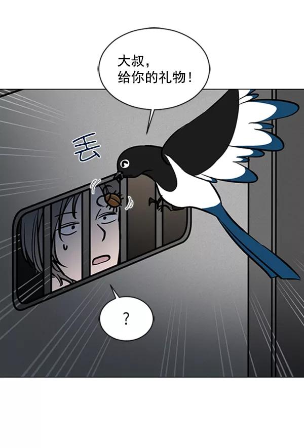 《小麻雀求婚记》第60话 第47页