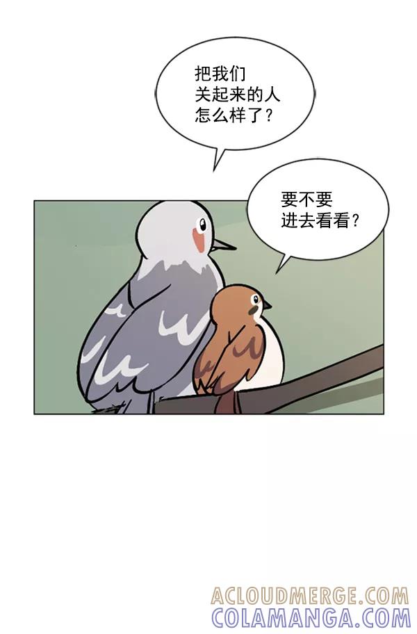 《小麻雀求婚记》第62话 第55页