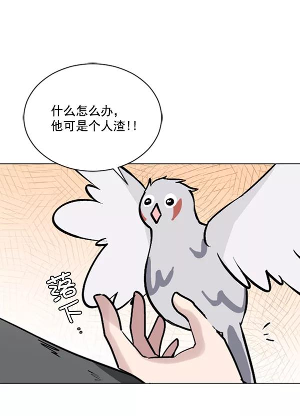 《小麻雀求婚记》第62话 第57页