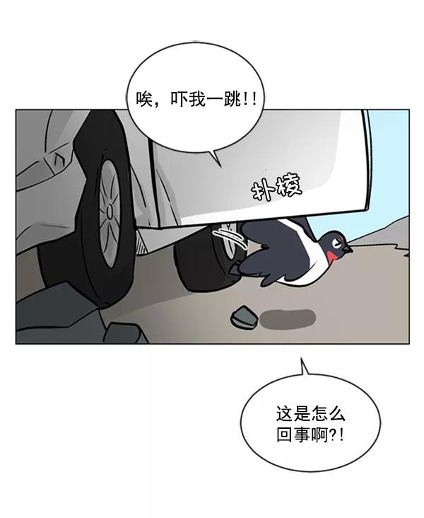 《小麻雀求婚记》第62话 第23页