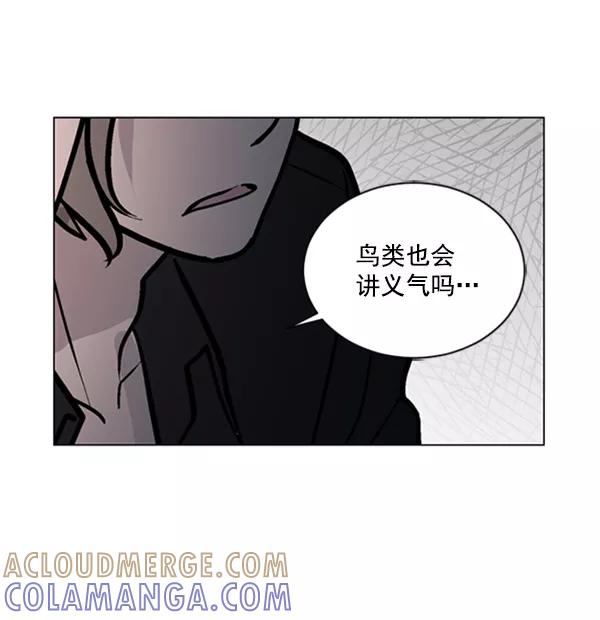 《小麻雀求婚记》第62话 第64页