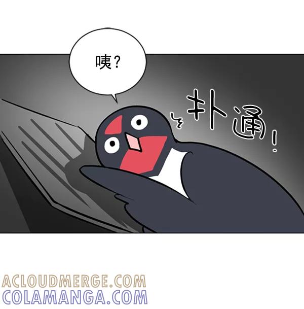 《小麻雀求婚记》第62话 第16页