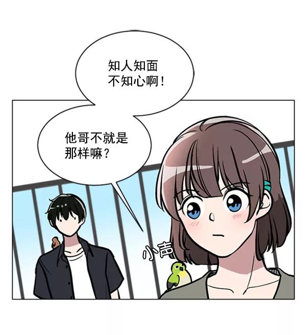 《小麻雀求婚记》第63话 第33页