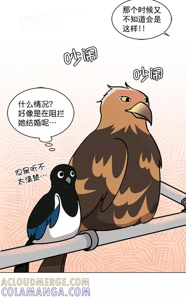《小麻雀求婚记》第63话 第37页