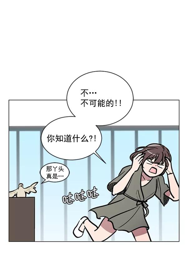 《小麻雀求婚记》第63话 第56页