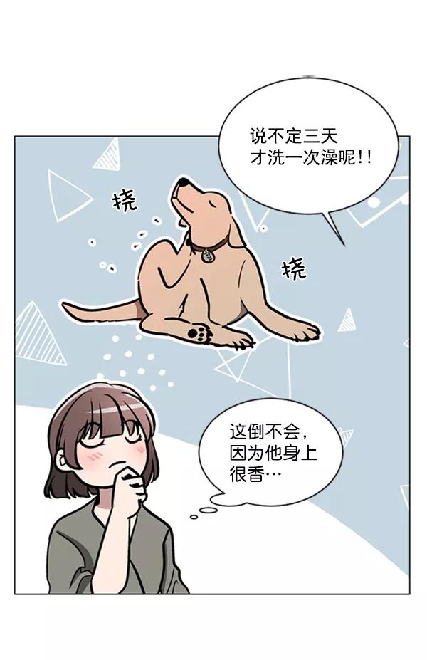 《小麻雀求婚记》第63话 第30页