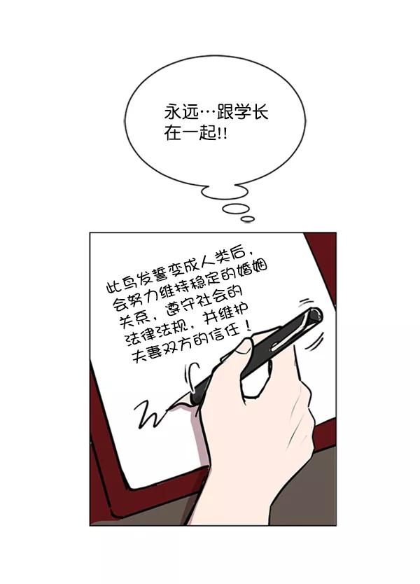 《小麻雀求婚记》第63话 第14页