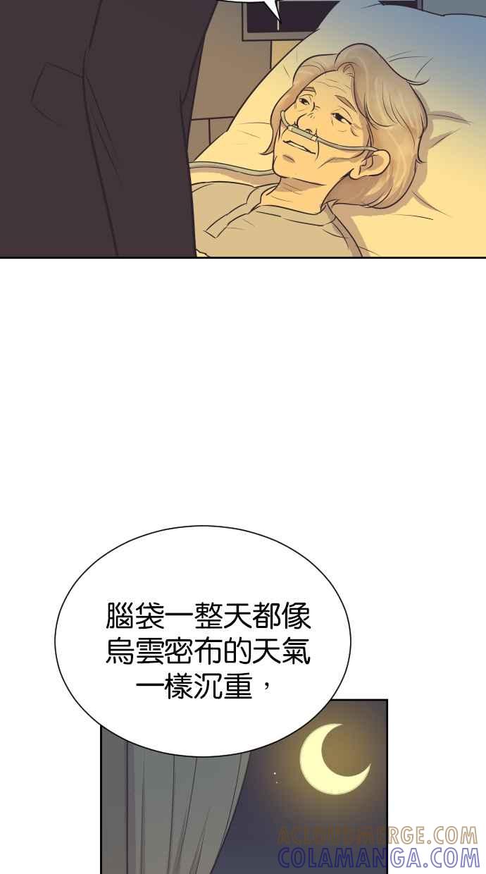契约再婚夫妻 第88话 最后的问候 第13页