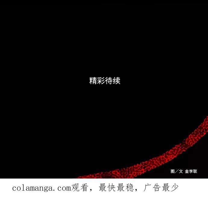 《妻子的秘密》[第9话] 追踪 第47页