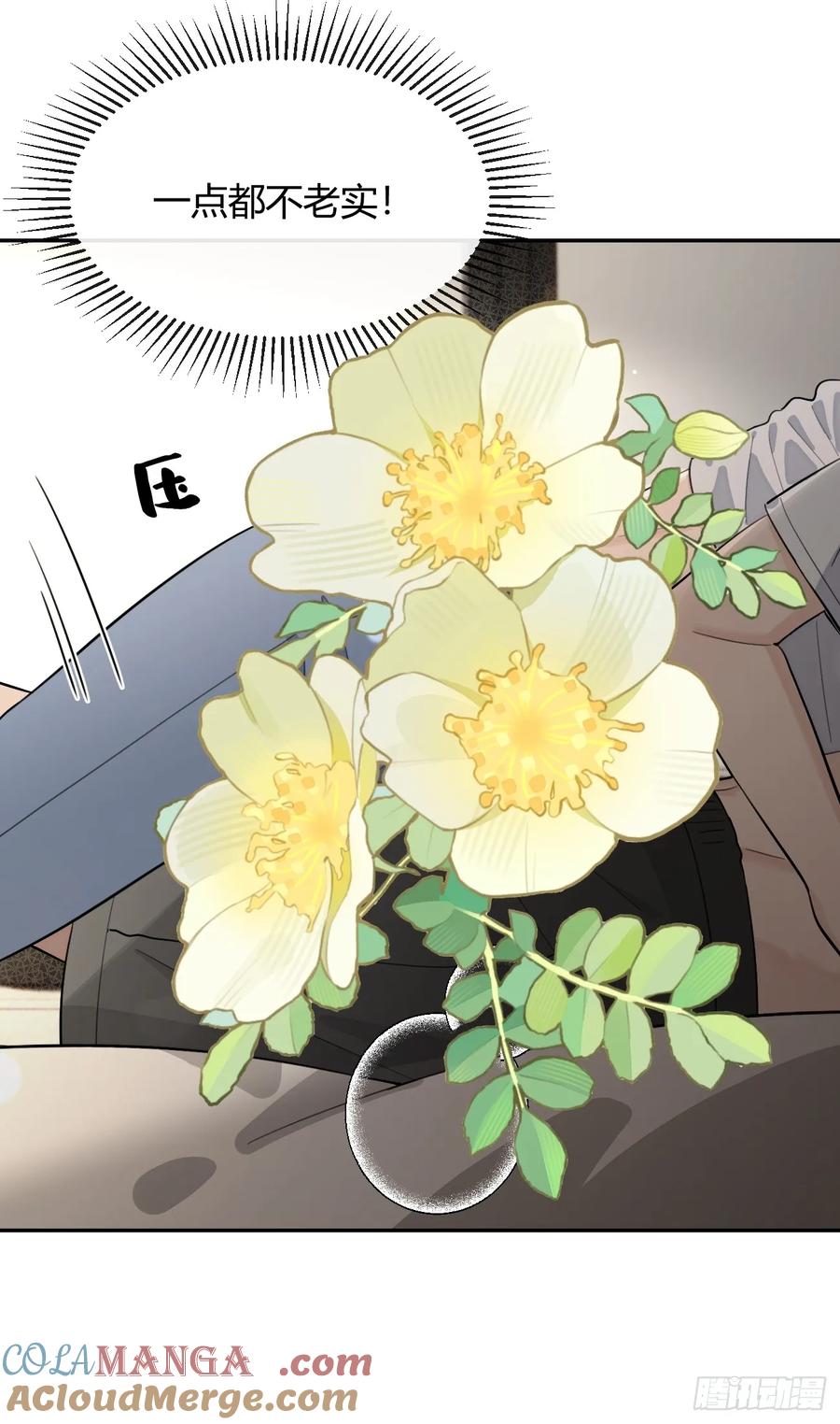 犬大欺主（欺主） 95. 就吃一口 第37页
