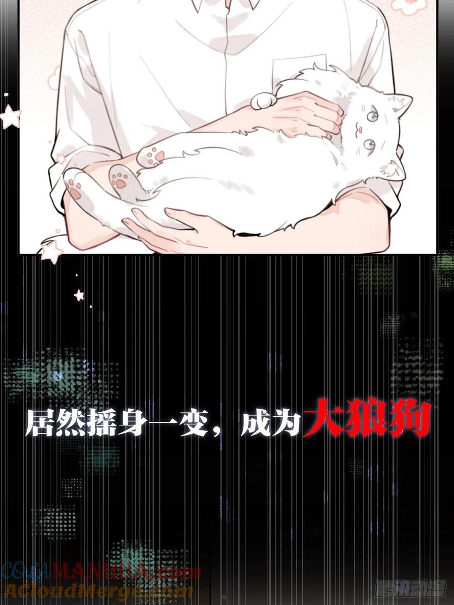 犬大欺主（欺主） 预告 第15页