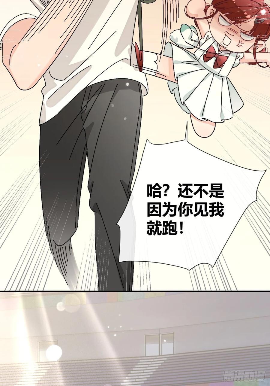犬大欺主（欺主） 35.赛前小插曲 第42页