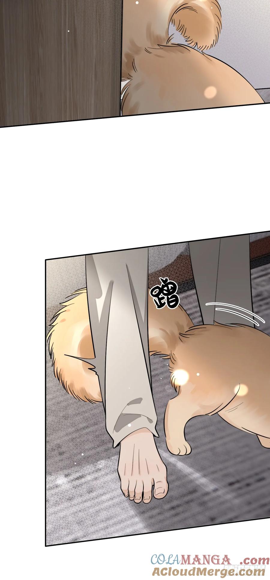 犬大欺主（欺主） 81.还没复合呢 第13页