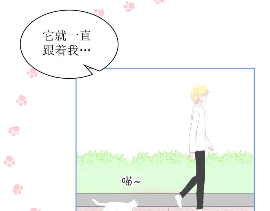 《圈地自萌》4-被盯上了 第51页