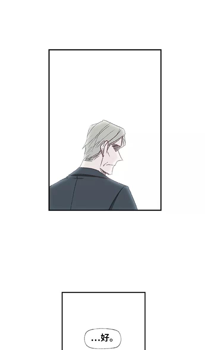 《拳击手》第31话 轻量级世界冠军 第54页