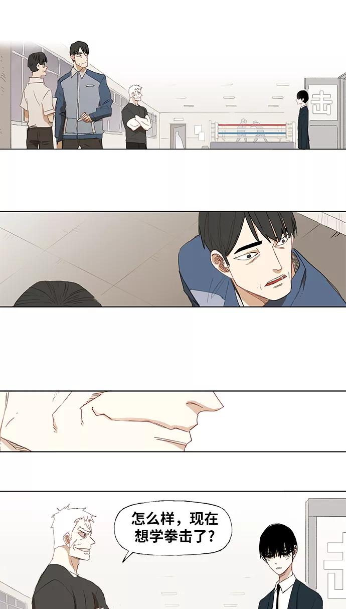 《拳击手》第10话 整理 第8页
