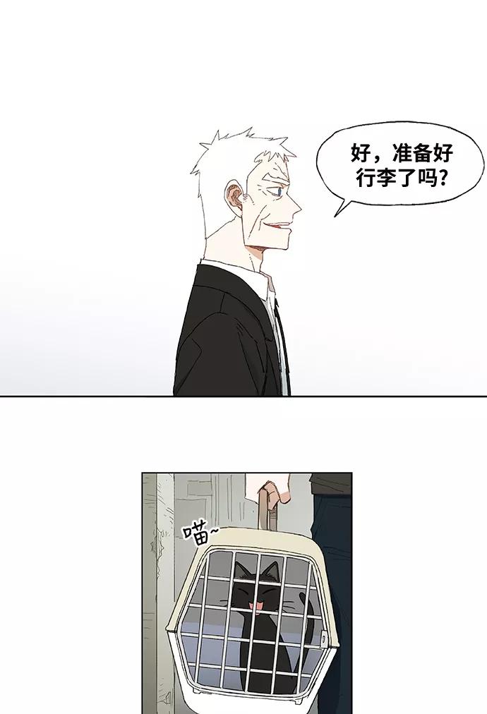 《拳击手》第11话 新的世界 第2页