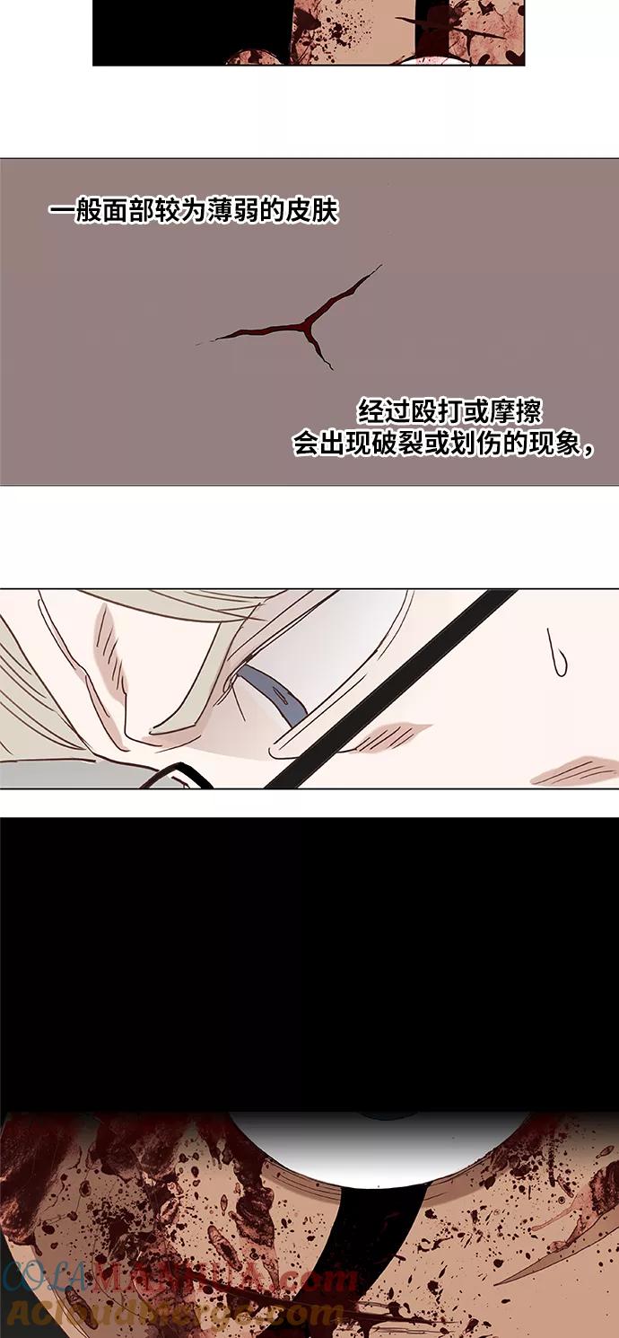 《拳击手》第15话 首战 第43页