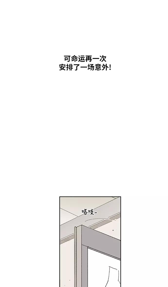 《拳击手》第33话 人才 第15页