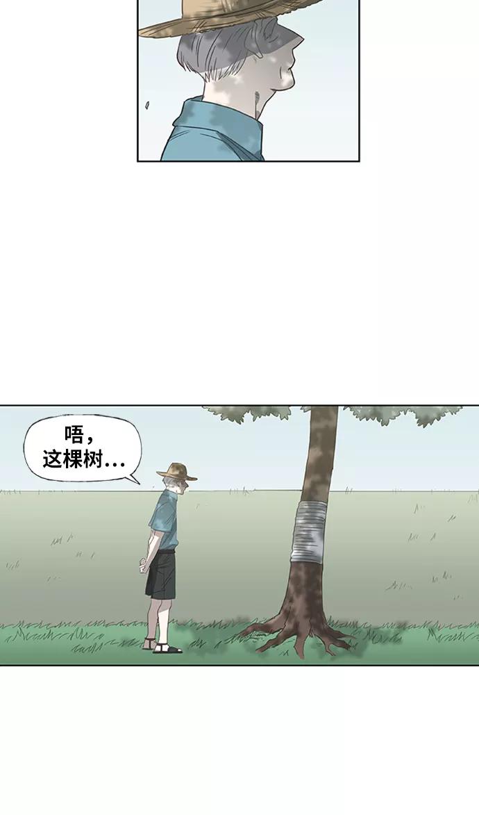 《拳击手》第35话 岩石攻略（2） 第50页