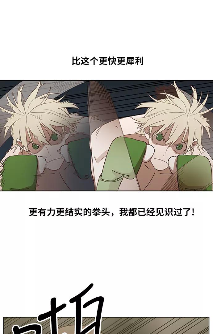 《拳击手》第35话 岩石攻略（2） 第68页