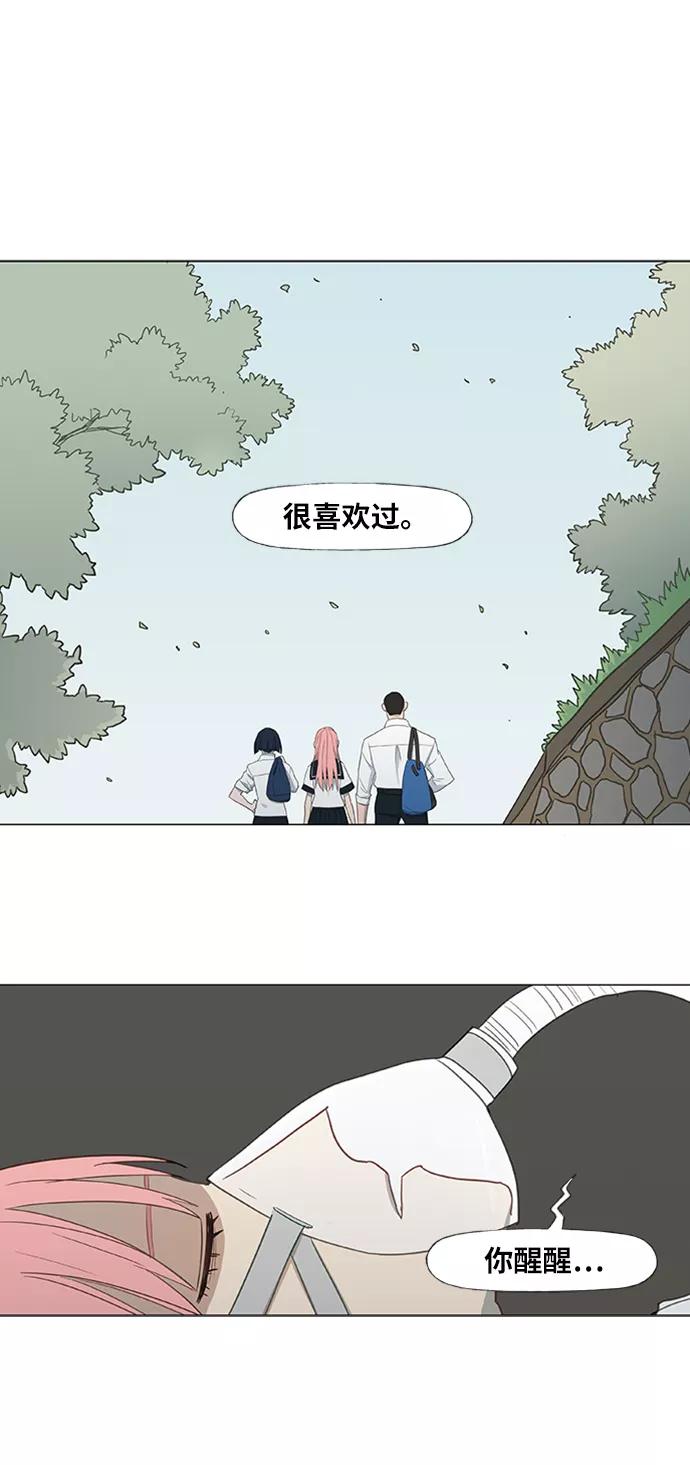 《拳击手》第41话 缘分（2） 第33页