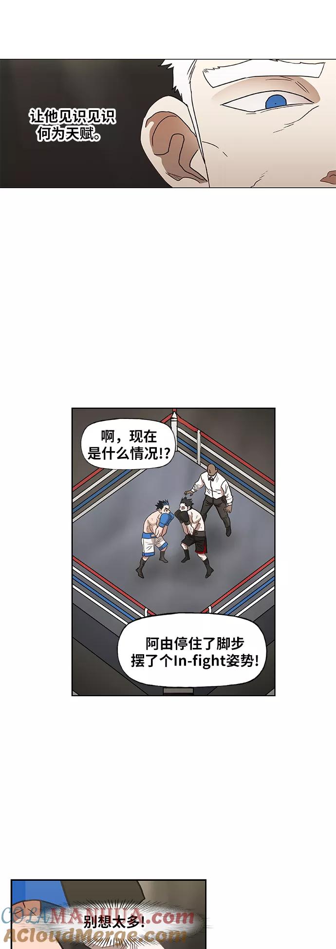 《拳击手》第47话 证明（1） 第49页