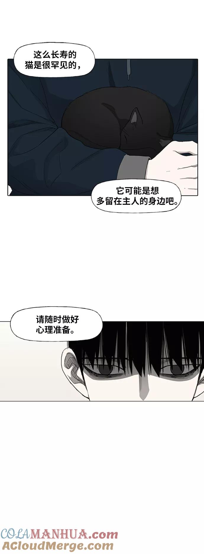 《拳击手》第80话 暴风前夕 第37页