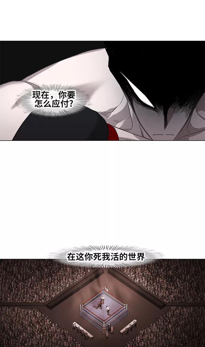 《拳击手》第85话 战争（2） 第14页