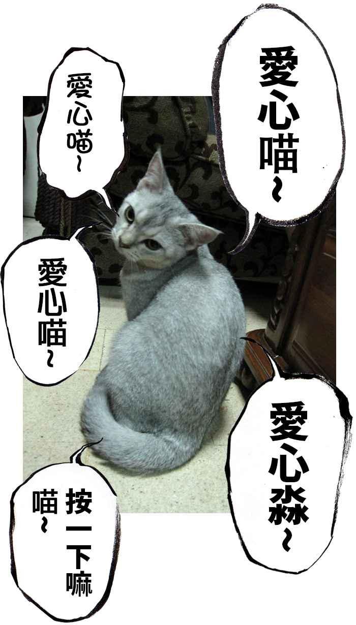 猫剑客 [第101话] 折翼天使 肆拾肆，天罗帝爪 第45页