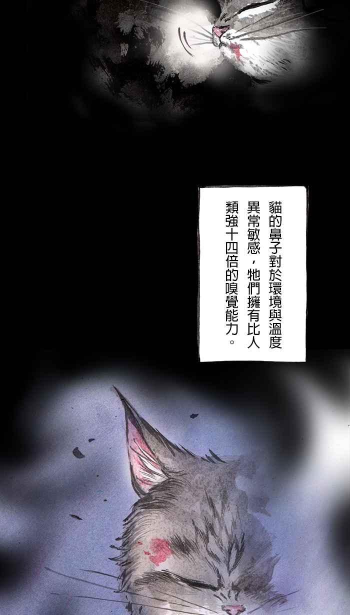 猫剑客 [第21话] 出路 第26页