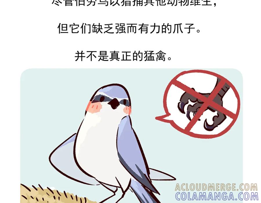 《胖达x胖达》第53话 第27页