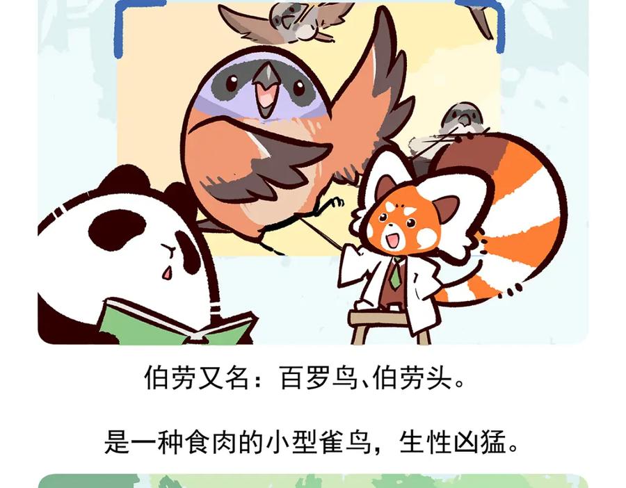 《胖达x胖达》第53话 第30页