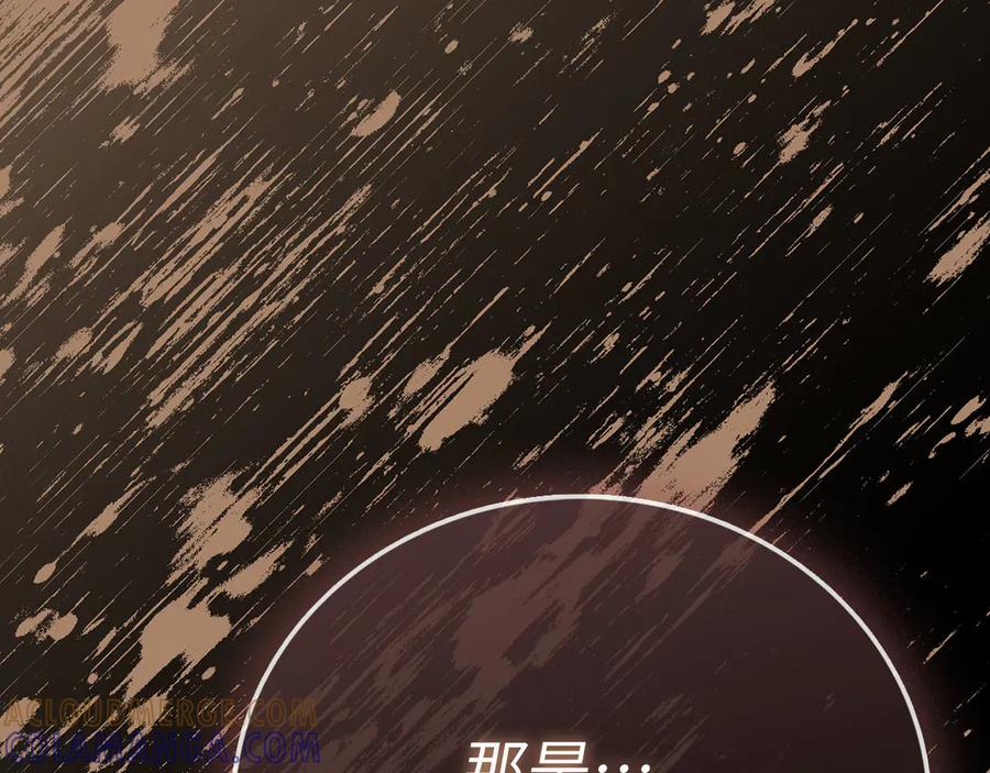 圣子是什么狗屁，这是现代医学的力量 - 第140话 圣女消逝 - 第117张图