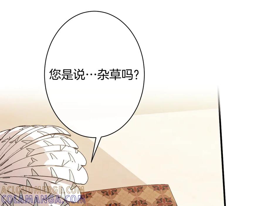 《吞石榴的蛇》第15话 弄巧成拙 第205页