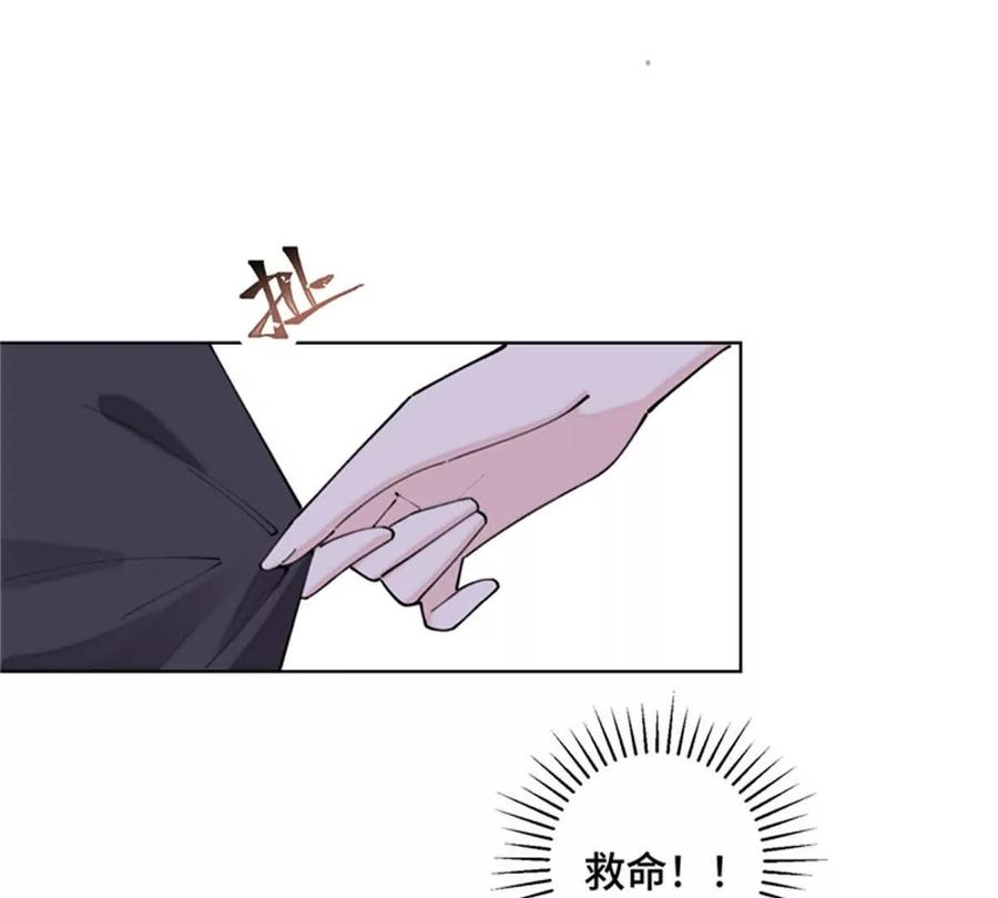 《白天被逃婚晚上被奶凶指挥官求抱》21 磕到啦 第12页