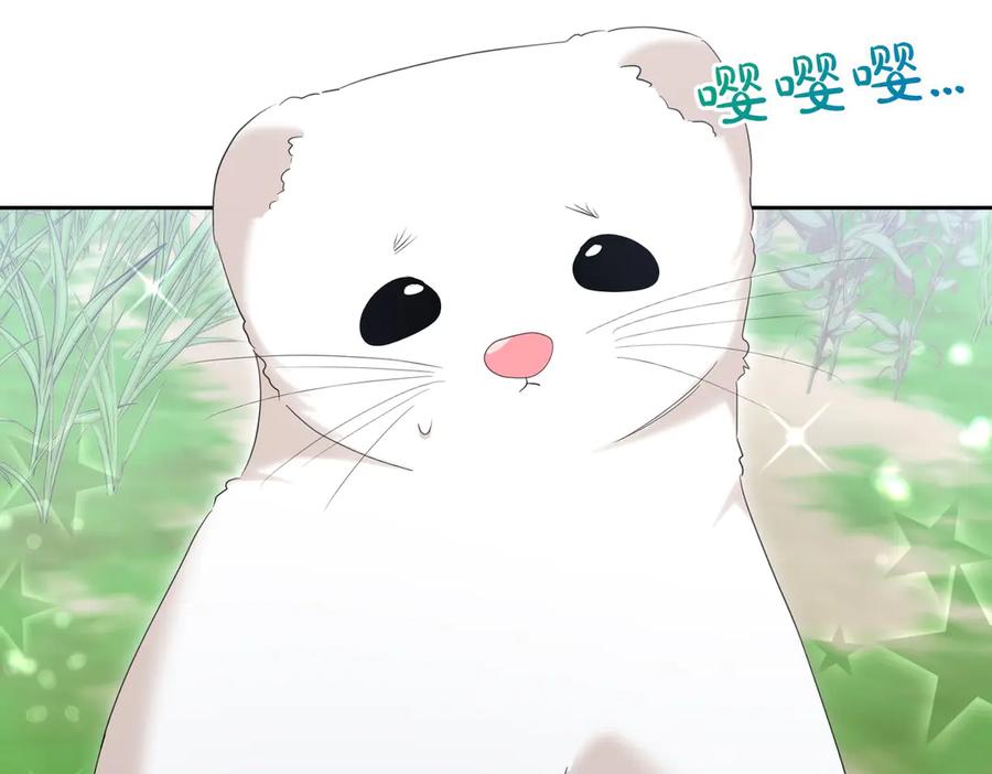 《小姐不愿意》第24话 抢功 第28页